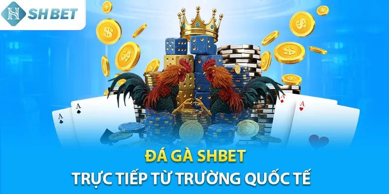 Các Loại Hình Cá Cược Đá Gà Shbe Được Ưa Chuộng
