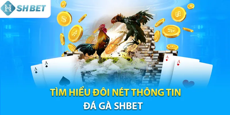 Các Loại Hình Cá Cược Đá Gà Shbe Được Ưa Chuộng