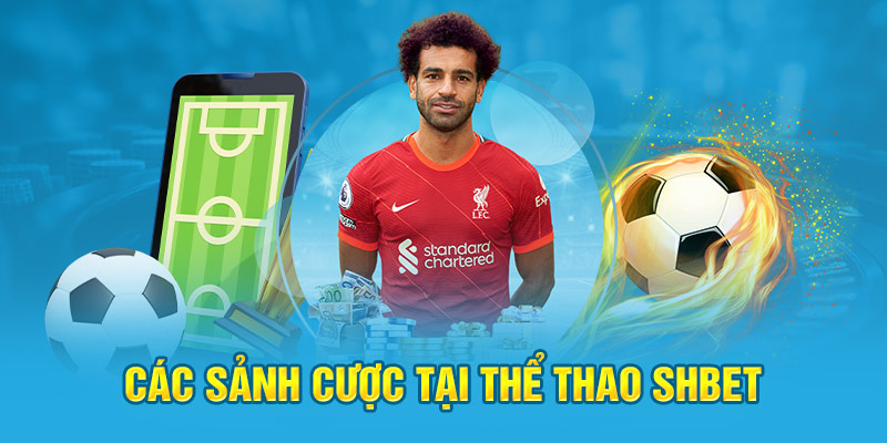 Những loại kèo thể thao tại nhà cái Shbe
